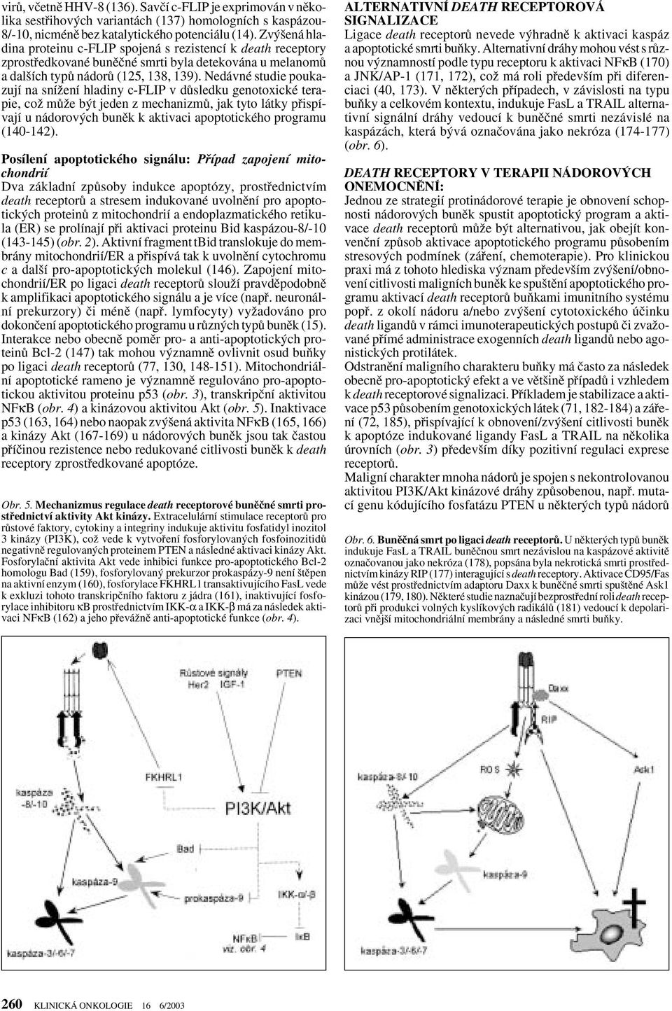 Nedávné studie poukazují na sníïení hladiny c-flip v dûsledku genotoxické terapie, coï mûïe b t jeden z mechanizmû, jak tyto látky pfiispívají u nádorov ch bunûk k aktivaci apoptotického programu