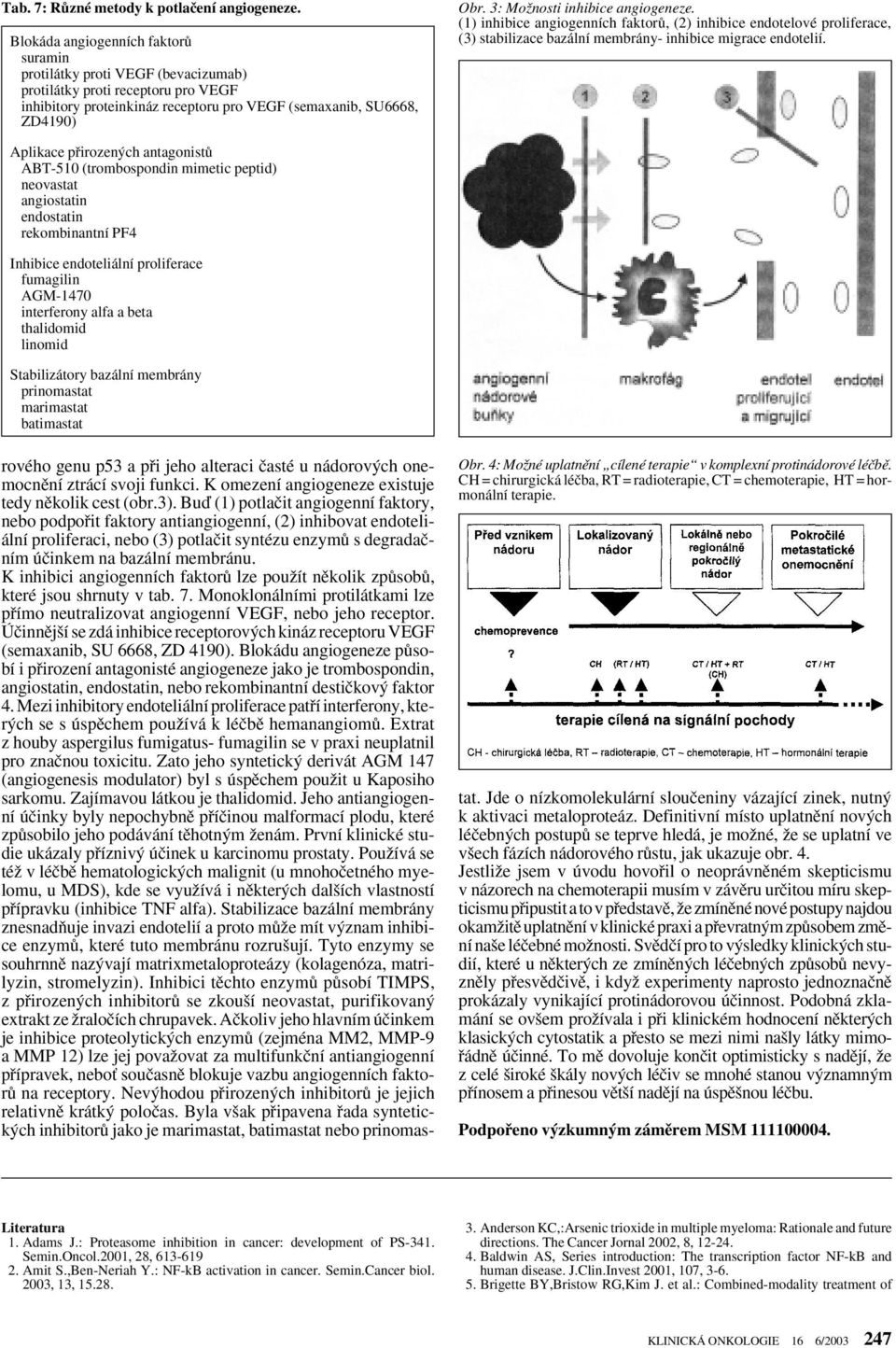 3: MoÏnosti inhibice angiogeneze. (1) inhibice angiogenních faktorû, (2) inhibice endotelové proliferace, (3) stabilizace bazální membrány- inhibice migrace endotelií.