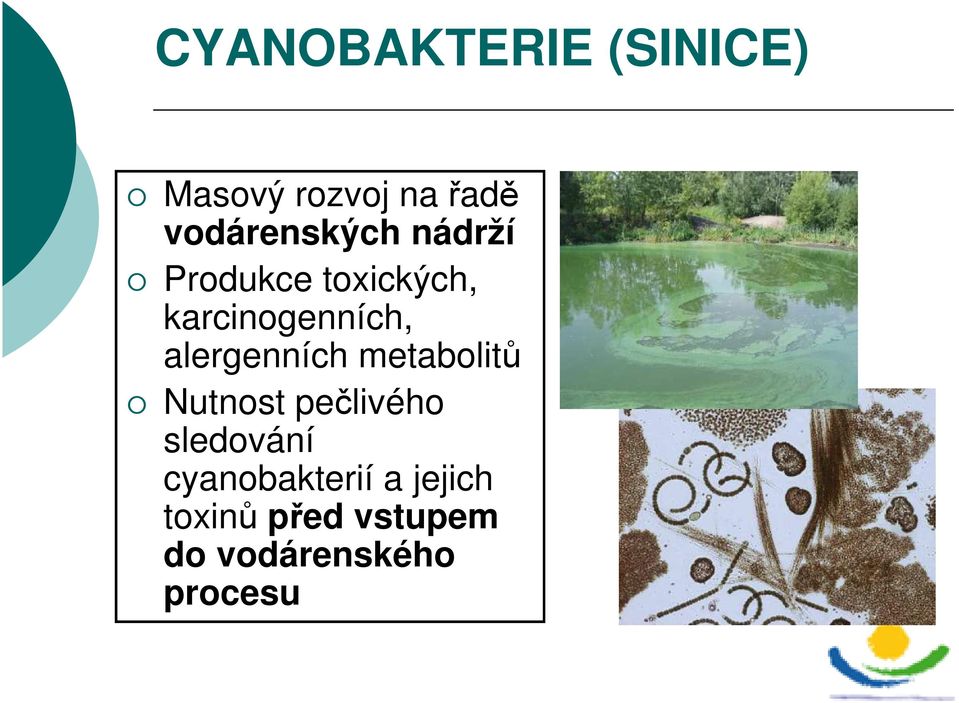 karcinogenních, alergenních metabolitů Nutnost