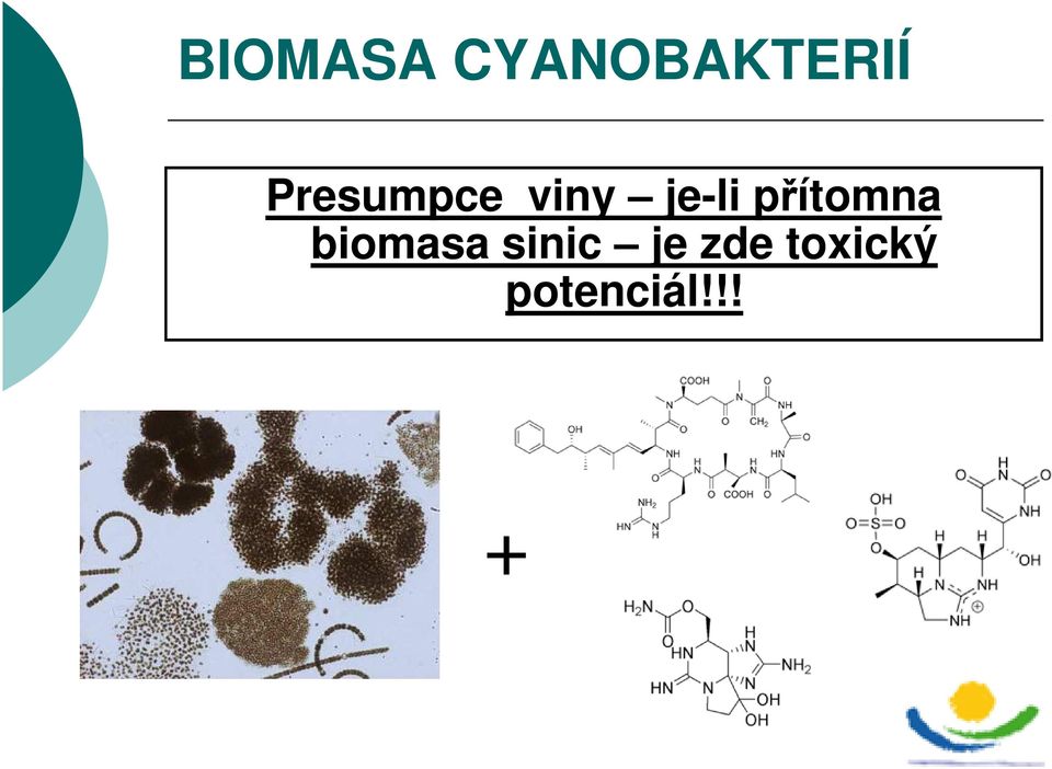přítomna biomasa sinic