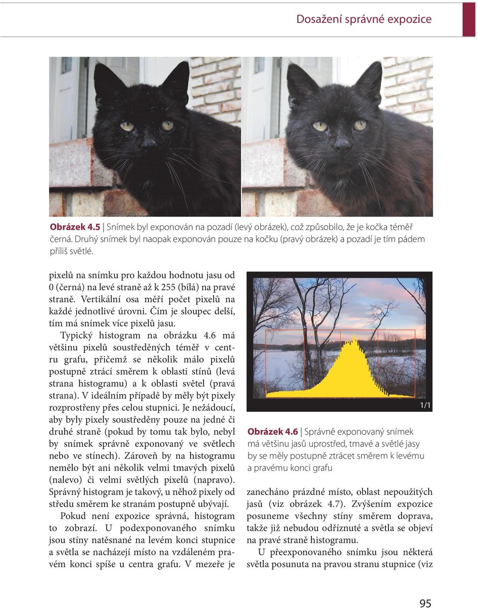detailní záběr na černou kočičku