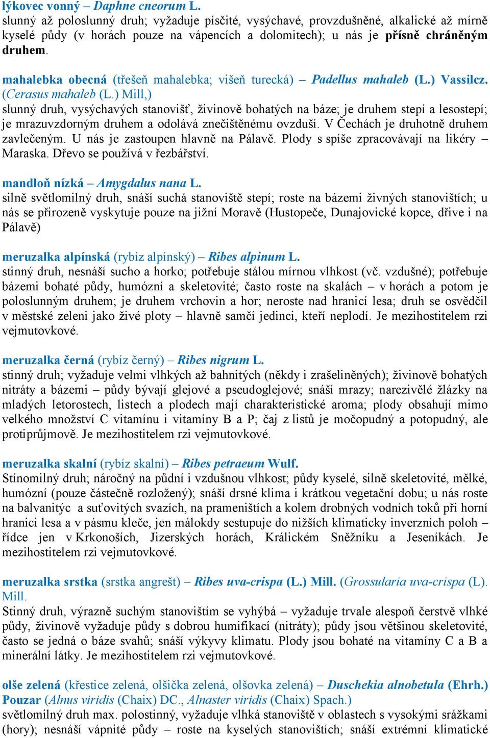 mahalebka obecná (třešeň mahalebka; višeň turecká) Padellus mahaleb (L.) Vassilcz. (Cerasus mahaleb (L.