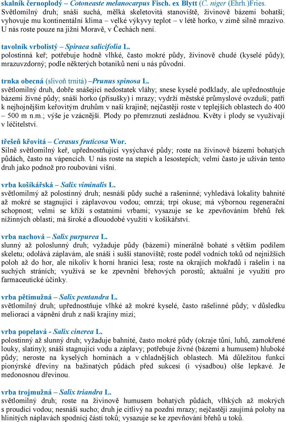 U nás roste pouze na jižní Moravě, v Čechách není. tavolník vrbolistý Spiraea salicifolia L.