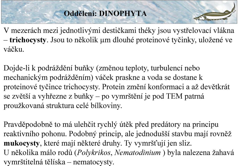 Protein změní konformaci a až devětkrát se zvětší a vyhřezne z buňky po vymrštění je pod TEM patrná proužkovaná struktura celé bílkoviny.