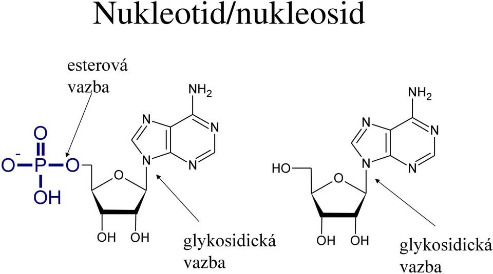 - H H H H glykosidická