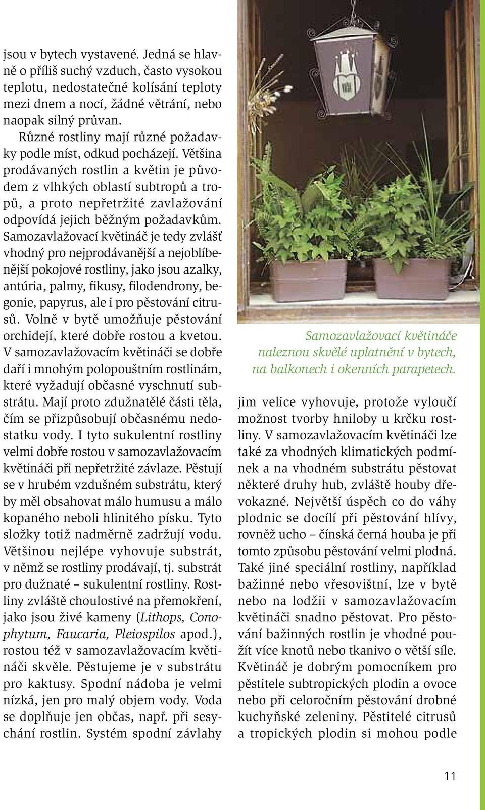 Většina prodávaných rostlin a květin je původem z vlhkých oblastí subtropů a tropů, a proto nepřetržité zavlažování odpovídá jejich běžným požadavkům.