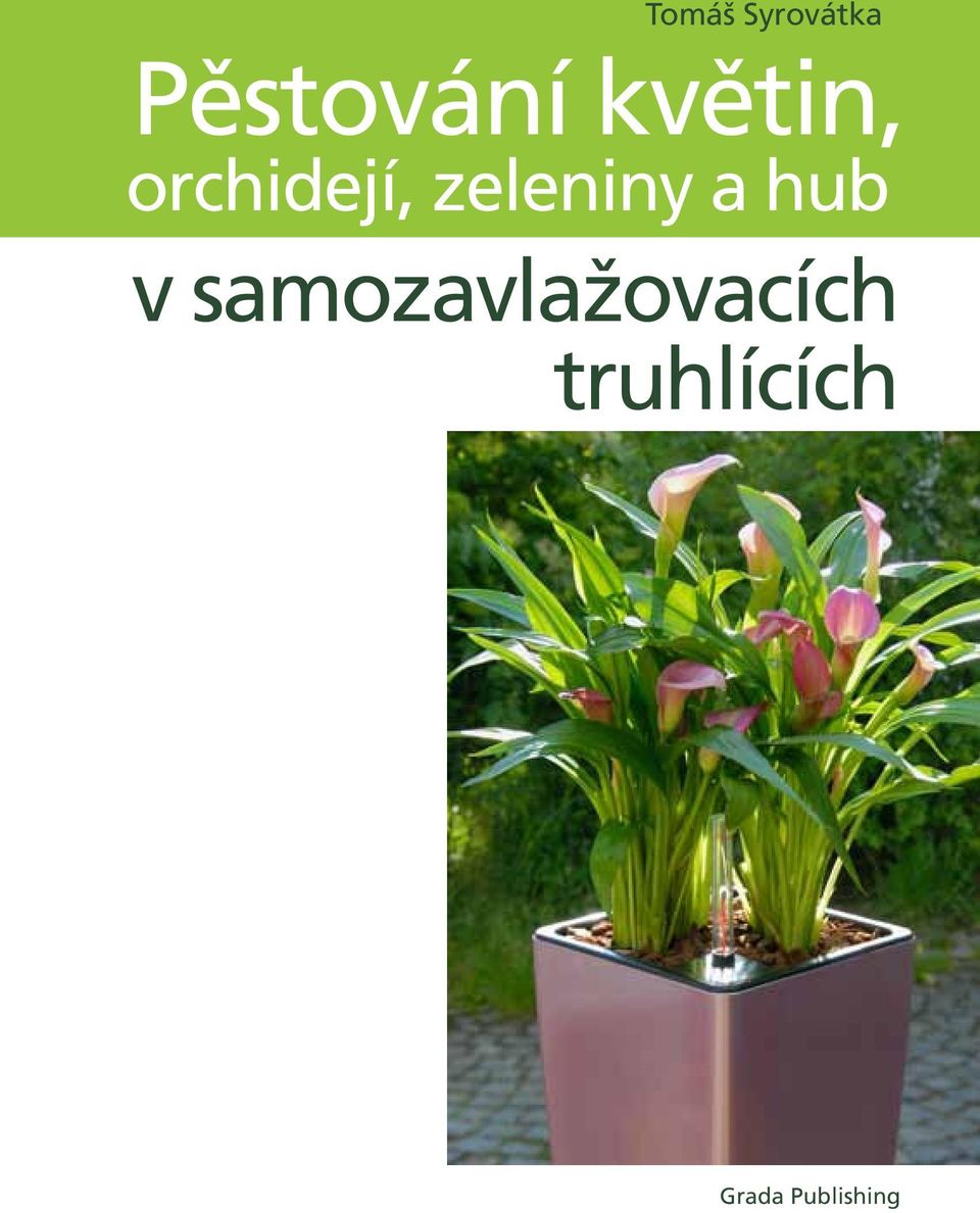 zeleniny a hub v