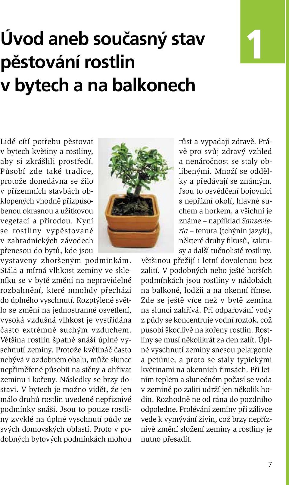 Nyní se rostliny vypěstované v zahradnických závodech přenesou do bytů, kde jsou vystaveny zhoršeným podmínkám.