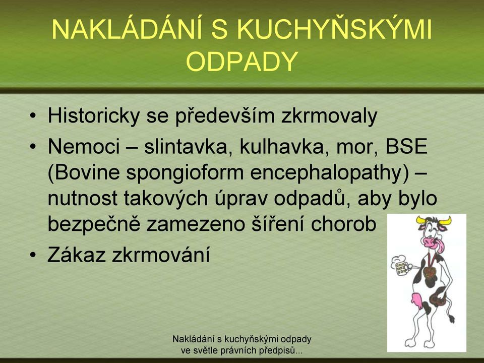 spongioform encephalopathy) nutnost takových úprav