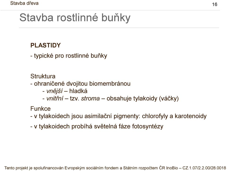 stroma obsahuje tylakoidy (váčky) Funkce - v tylakoidech jsou