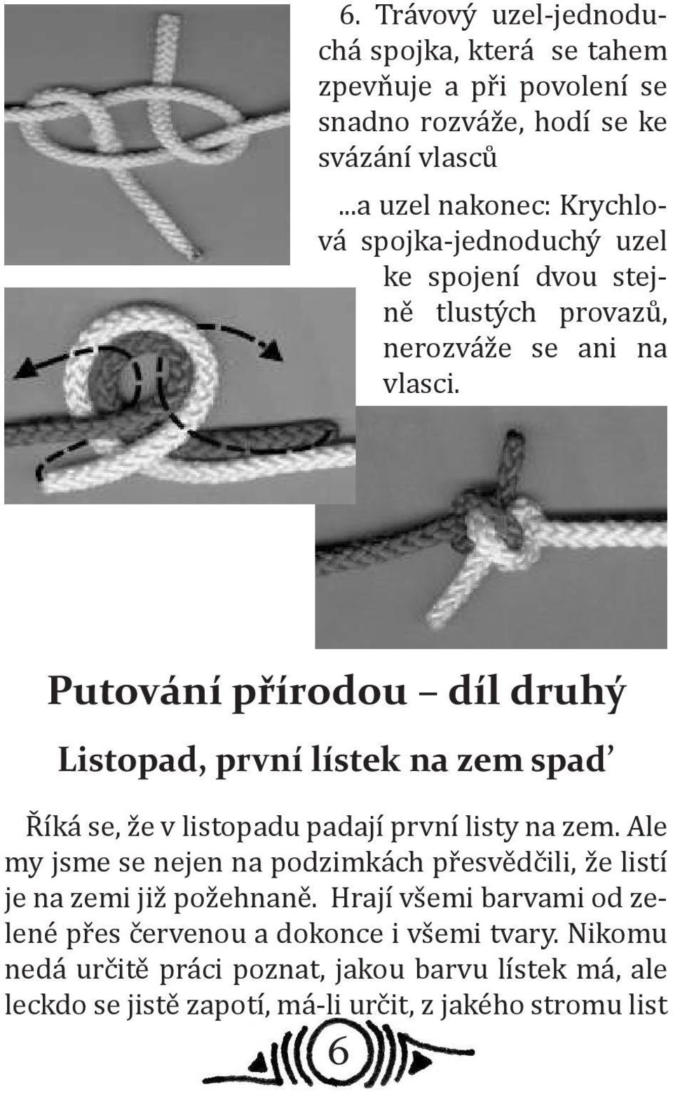 Putování přírodou díl druhý Listopad, první lístek na zem spad Říká se, že v listopadu padají první listy na zem.