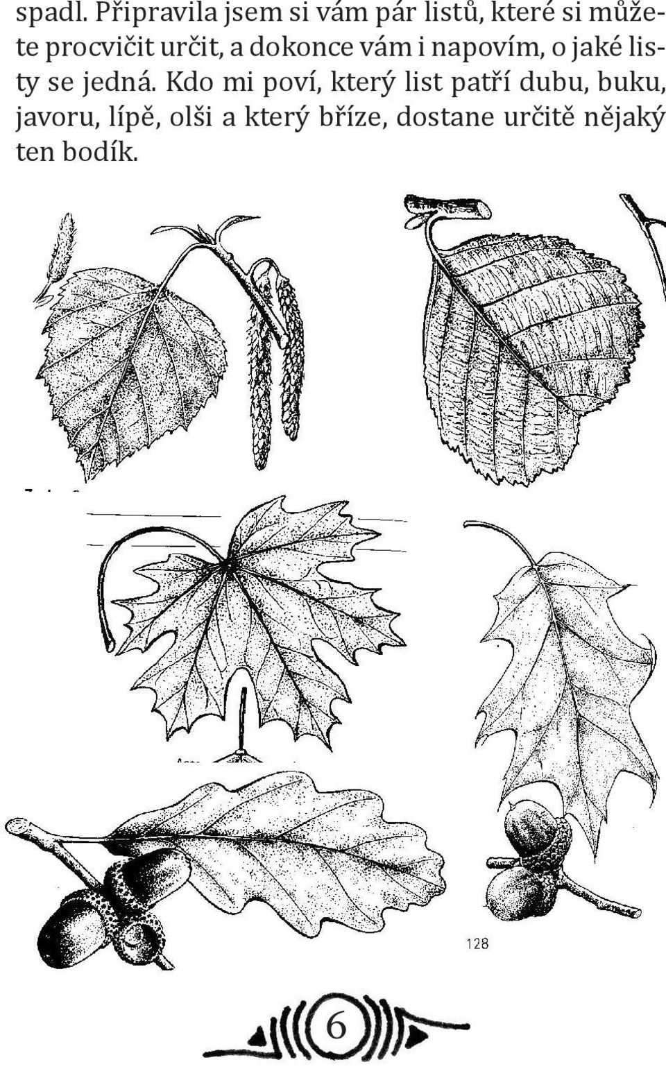 procvičit určit, a dokonce vám i napovím, o jaké listy se