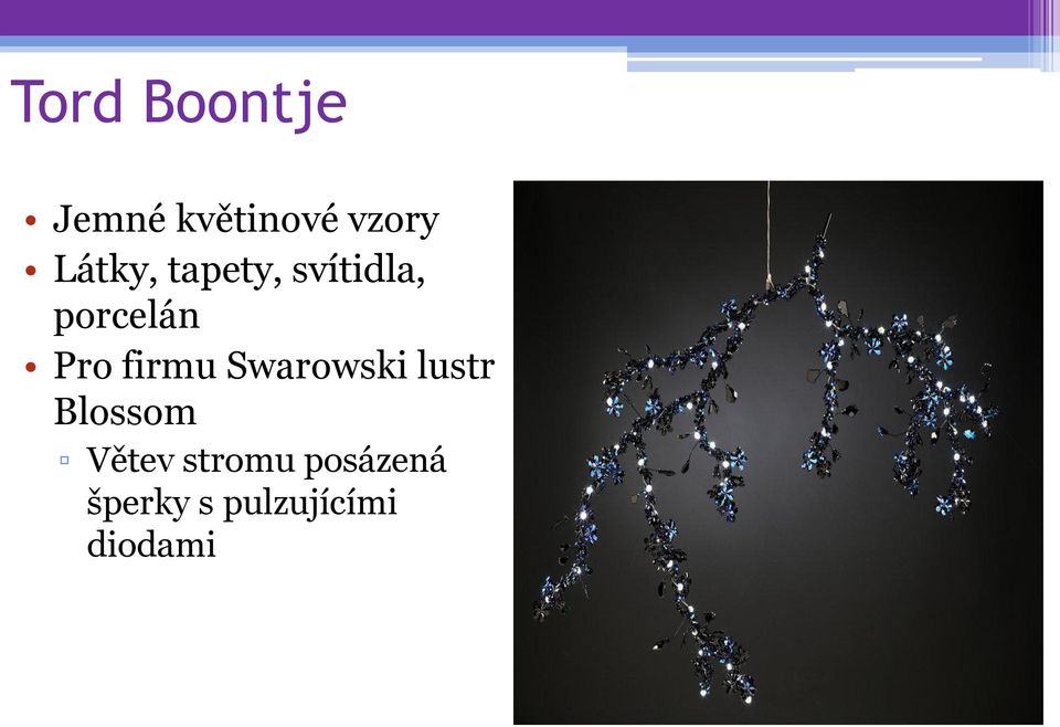 firmu Swarowski lustr Blossom Větev
