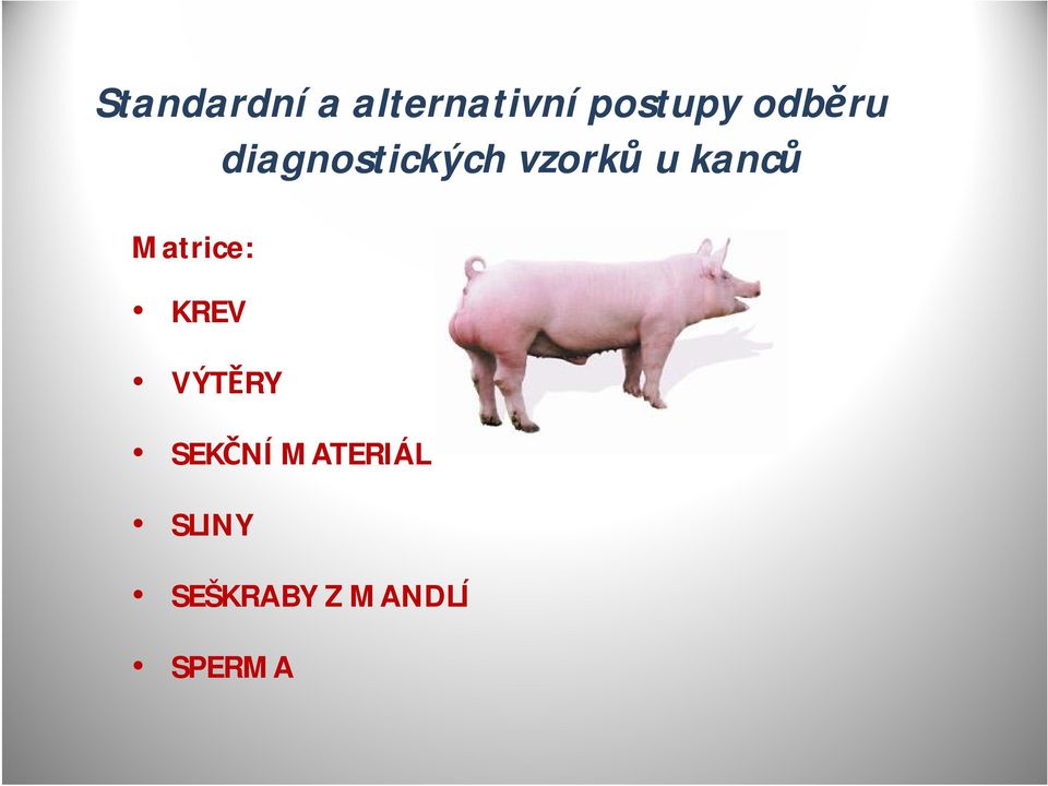 kanců Matrice: KREV VÝTĚRY SEKČNÍ