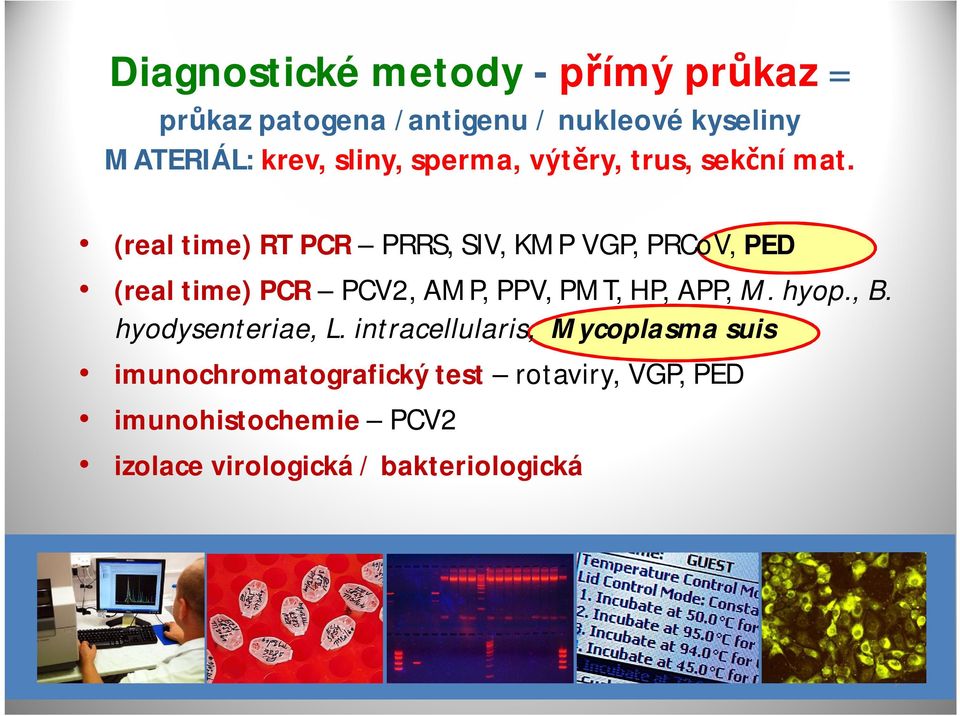(realtime) RT PCR PRRS, SIV, KMP VGP, PRCoV, PED (realtime) PCR PCV2, AMP, PPV, PMT, HP, APP, M.