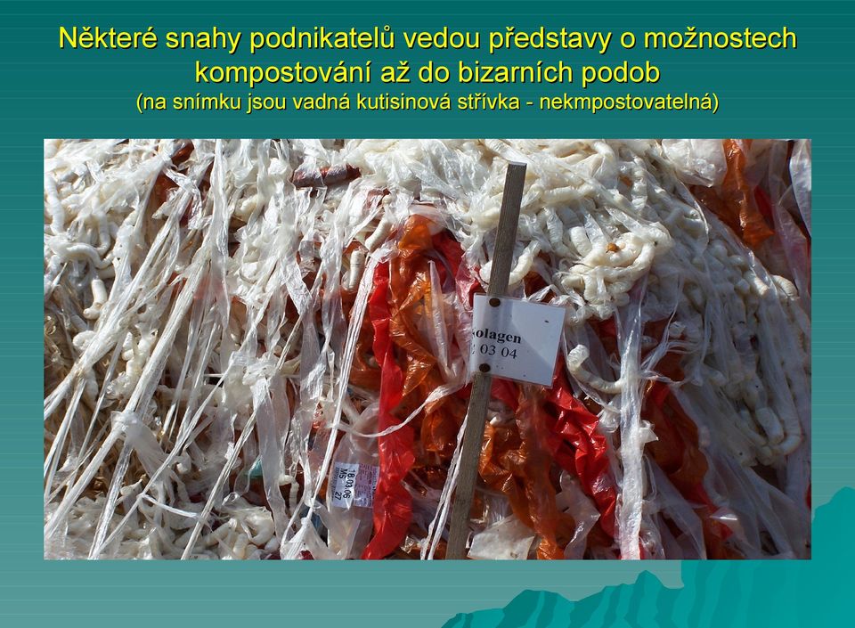 až do bizarních podob (na snímku jsou