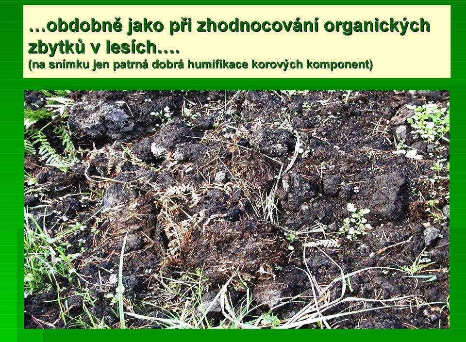 (na snímku jen patrná dobrá