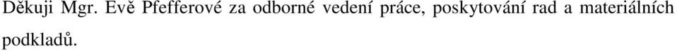 odborné vedení práce,