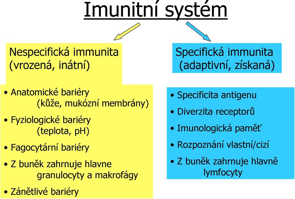 Fagocytární bariéry Z buněk zahrnuje hlavne granulocyty a makrofágy Zánětlivé bariéry