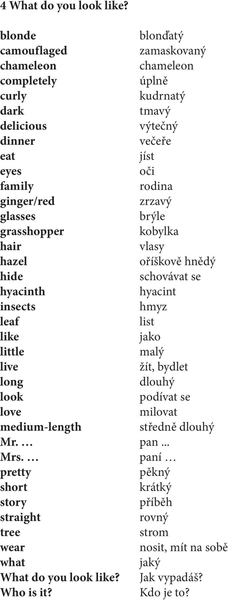 family rodina ginger/red zrzavý glasses brýle grasshopper kobylka hair vlasy hazel oříškově hnědý hide schovávat se hyacinth hyacint insects hmyz leaf