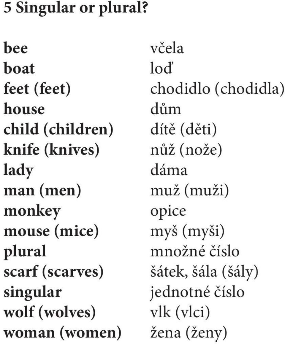 mouse (mice) plural scarf (scarves) singular wolf (wolves) woman (women) včela loď
