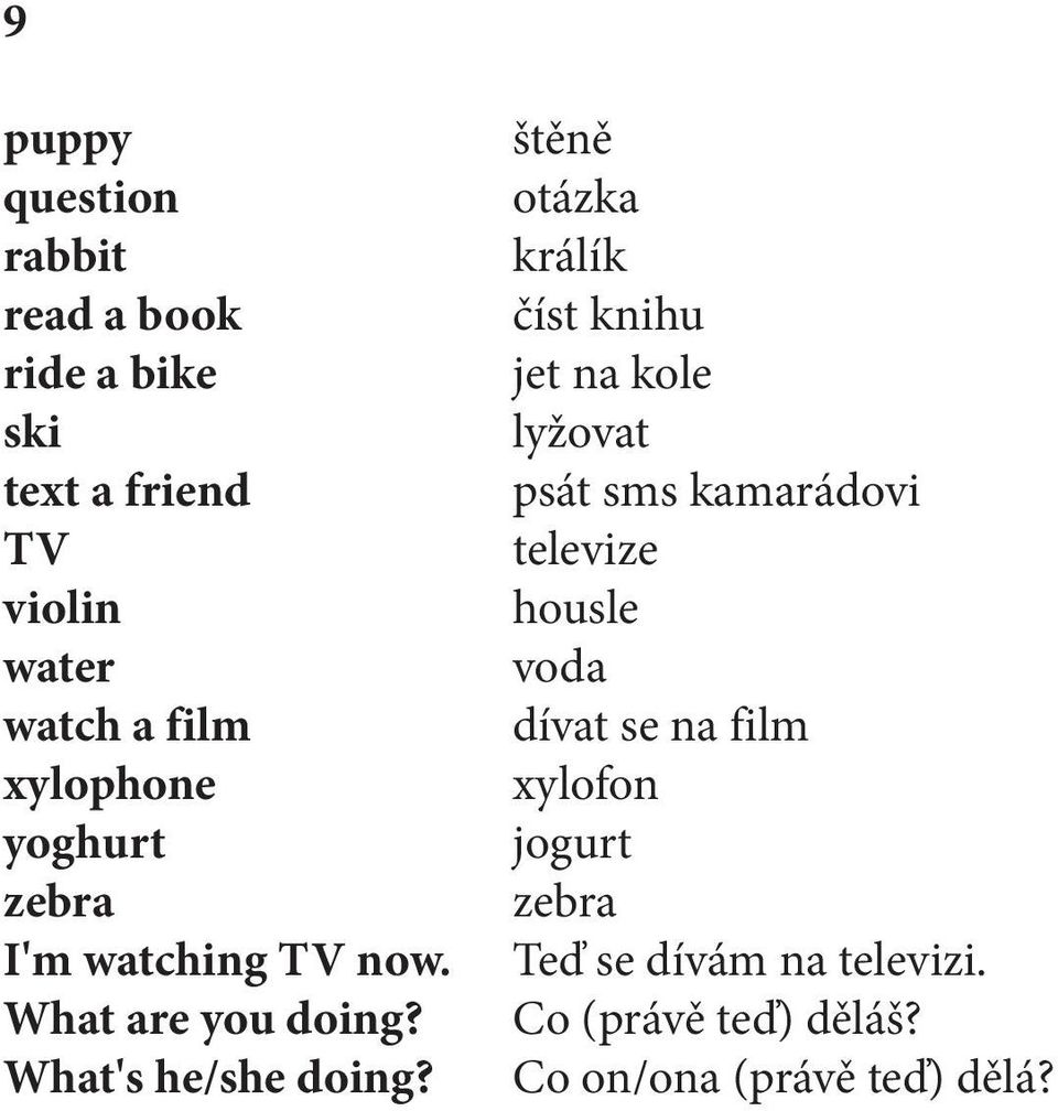 štěně otázka králík číst knihu jet na kole lyžovat psát sms kamarádovi televize housle voda