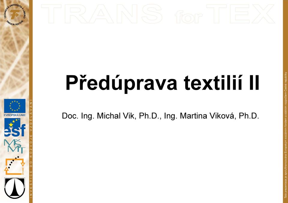 Michal Vik, Ph.D.
