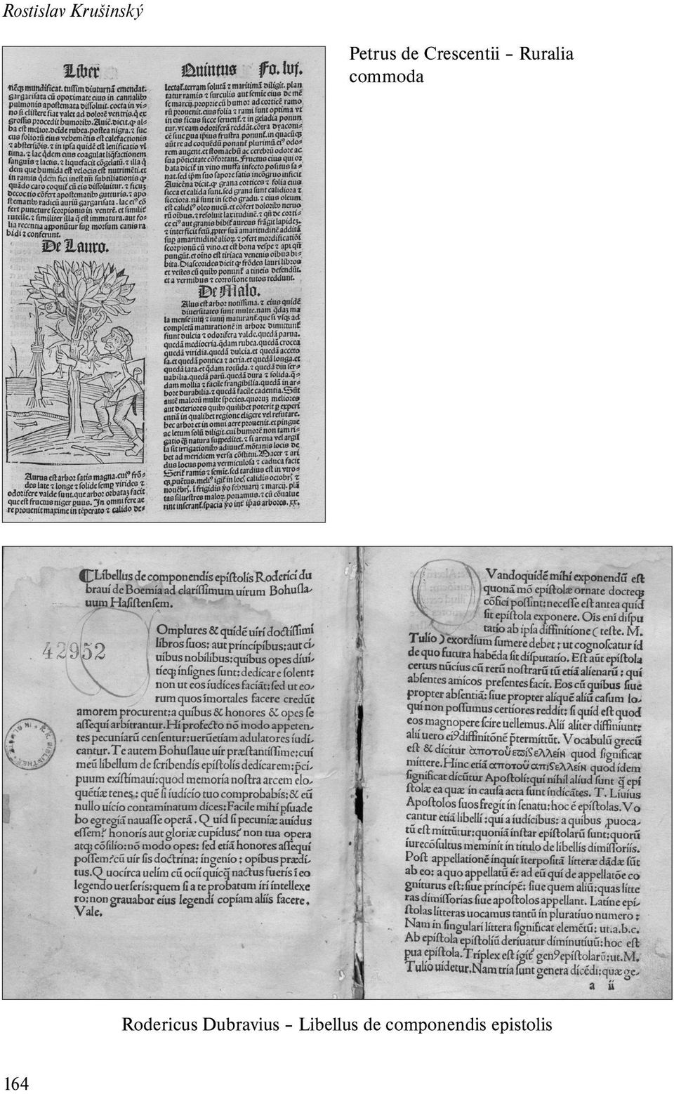 commoda Rodericus Dubravius