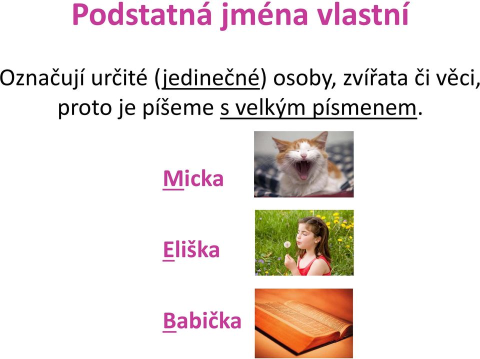 zvířata či věci, proto je píšeme