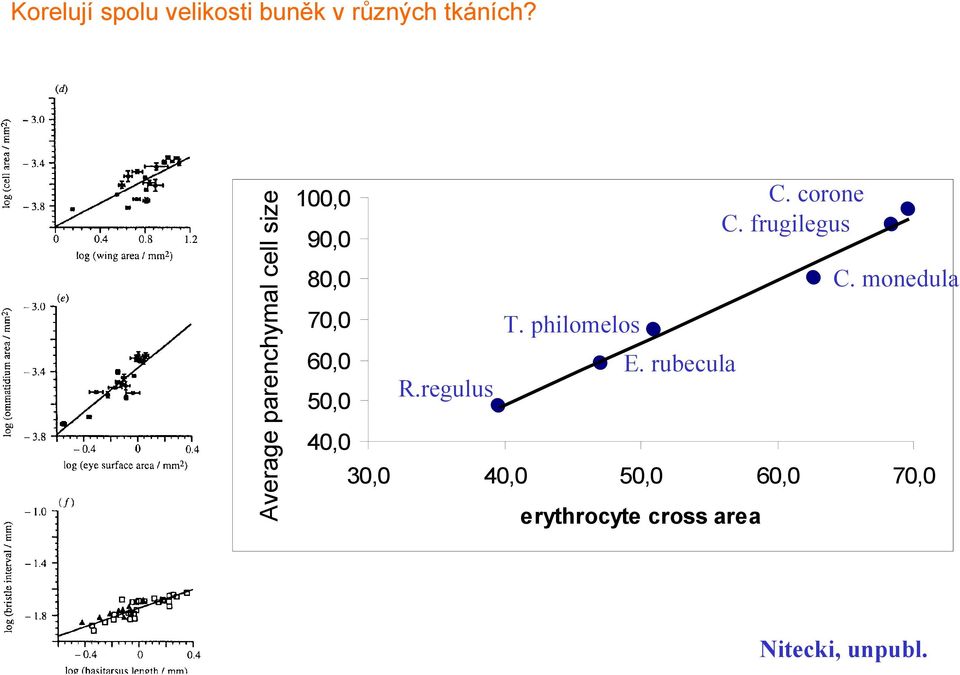 monedula 80,0 70,0 T. philomelos 60,0 50,0 40,0 30,0 E.