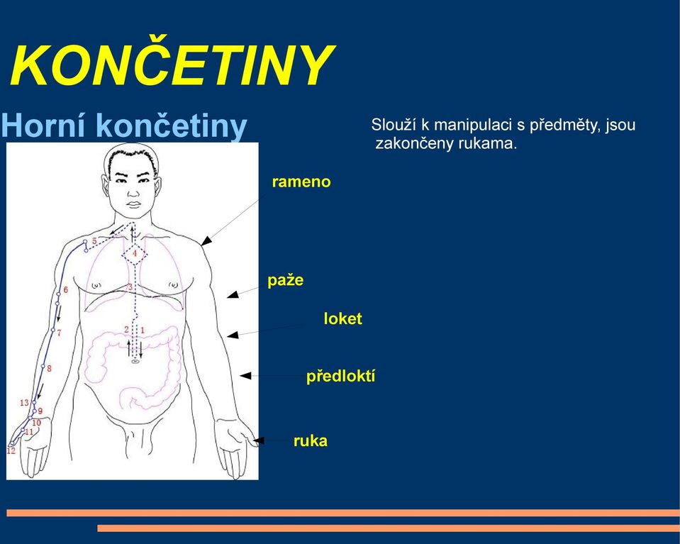 předměty, jsou zakončeny