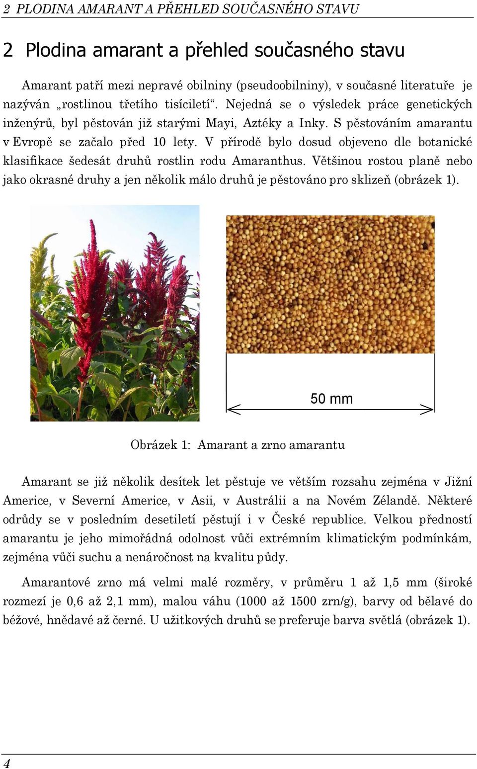 V přírodě bylo doud objeveno dle botanié laifiae šedeát druhů rotlin rodu Amaranthu. Většinou rotou planě nebo jao orané druhy a jen něoli málo druhů je pětováno pro lizeň (obráze ).