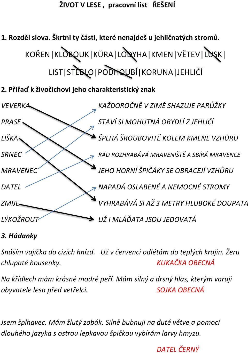 RÁD ROZHRABÁVÁ MRAVENIŠTĚ A SBÍRÁ MRAVENCE JEHO HORNÍ ŠPIČÁKY SE OBRACEJÍ VZHŮRU NAPADÁ OSLABENÉ A NEMOCNÉ STROMY VYHRABÁVÁ SI AŽ 3 METRY HLUBOKÉ DOUPATA UŽ I MLÁĎATA JSOU JEDOVATÁ 3.