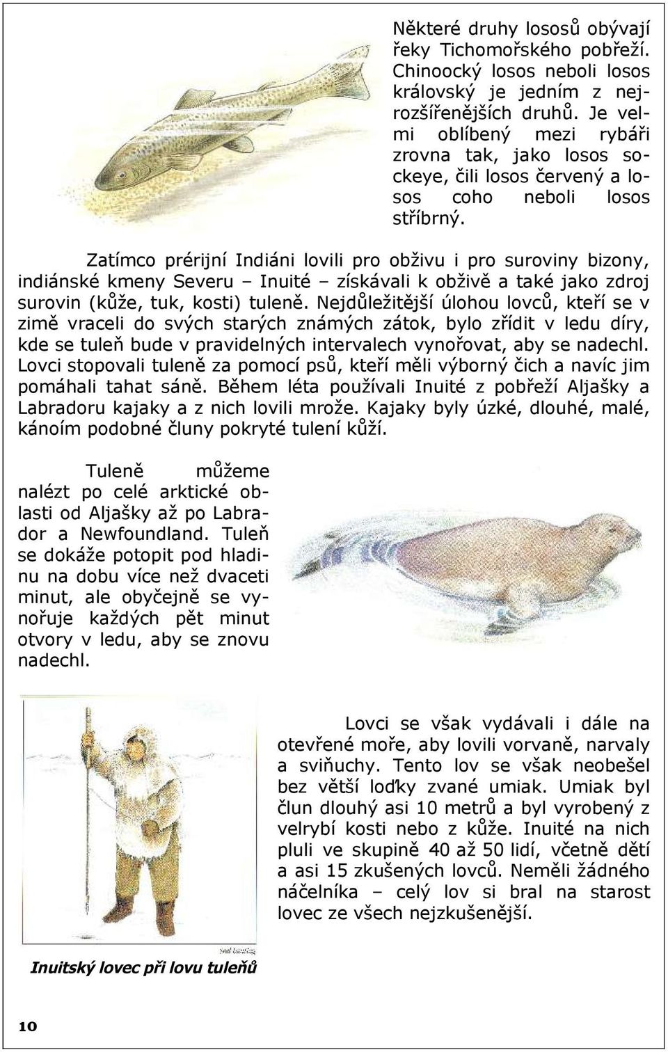 Zatímco prérijní Indiáni lovili pro obživu i pro suroviny bizony, indiánské kmeny Severu Inuité získávali k obživě a také jako zdroj surovin (kůže, tuk, kosti) tuleně.