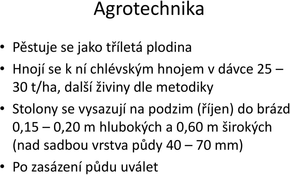 Stolony se vysazují na podzim (říjen) do brázd 0,15 0,20 m