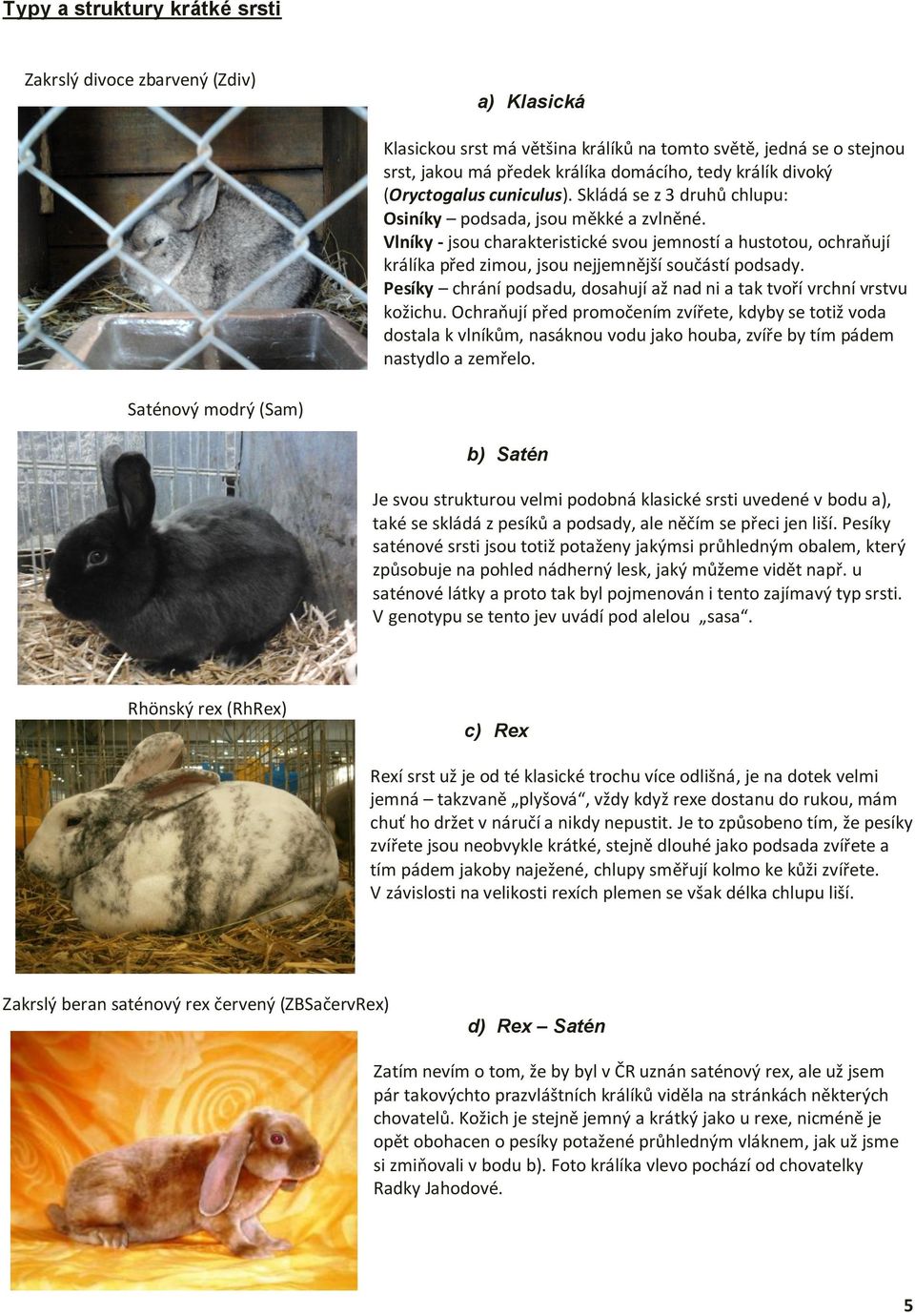 Vlníky - jsou charakteristické svou jemností a hustotou, ochraňují králíka před zimou, jsou nejjemnější součástí podsady. Pesíky chrání podsadu, dosahují až nad ni a tak tvoří vrchní vrstvu kožichu.