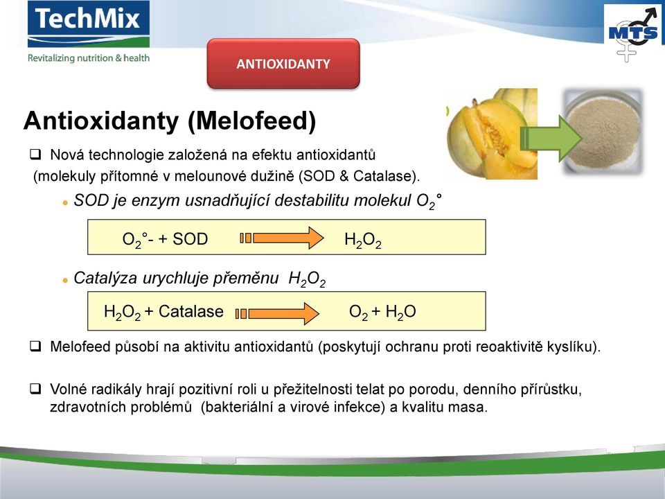 SOD je enzym usnadňující destabilitu molekul O 2 O 2 - + SOD H 2 O 2 Catalýza urychluje přeměnu H 2 O 2 H 2 O 2 + Catalase O 2 +