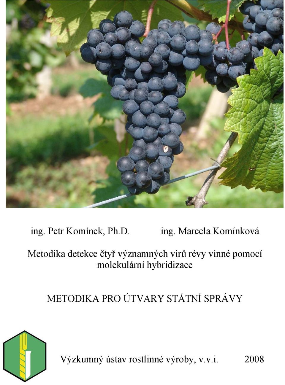 virů révy vinné pomocí molekulární hybridizace