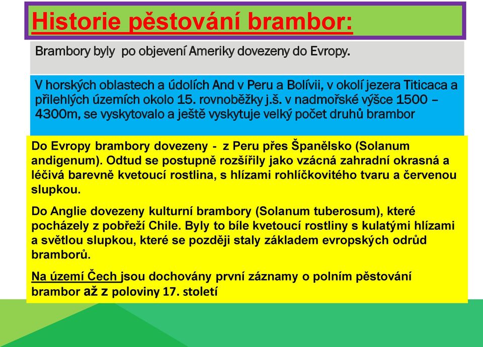 Odtud se postupně rozšířily jako vzácná zahradní okrasná a léčivá barevně kvetoucí rostlina, s hlízami rohlíčkovitého tvaru a červenou slupkou.