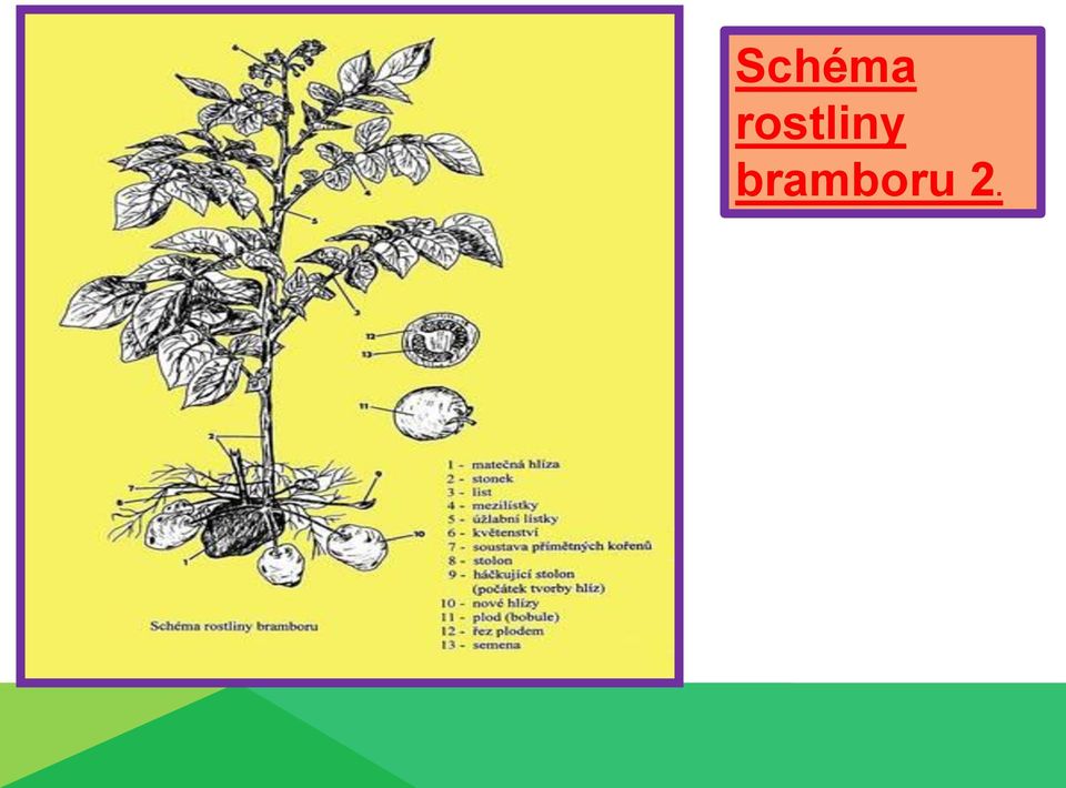 bramboru