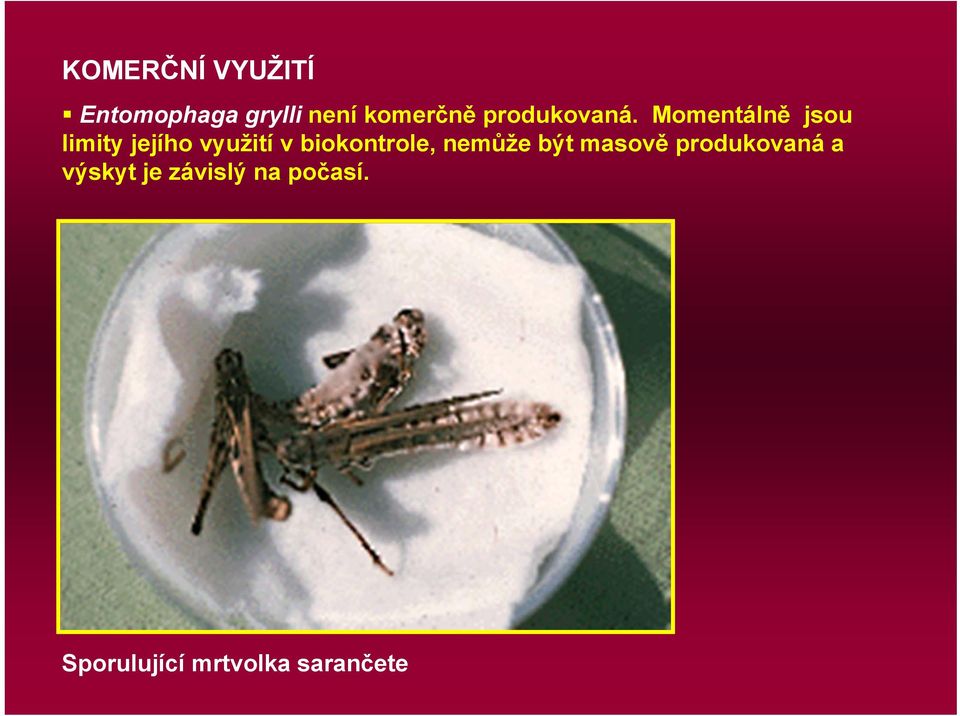 Momentálně jsou limity jejího využití v