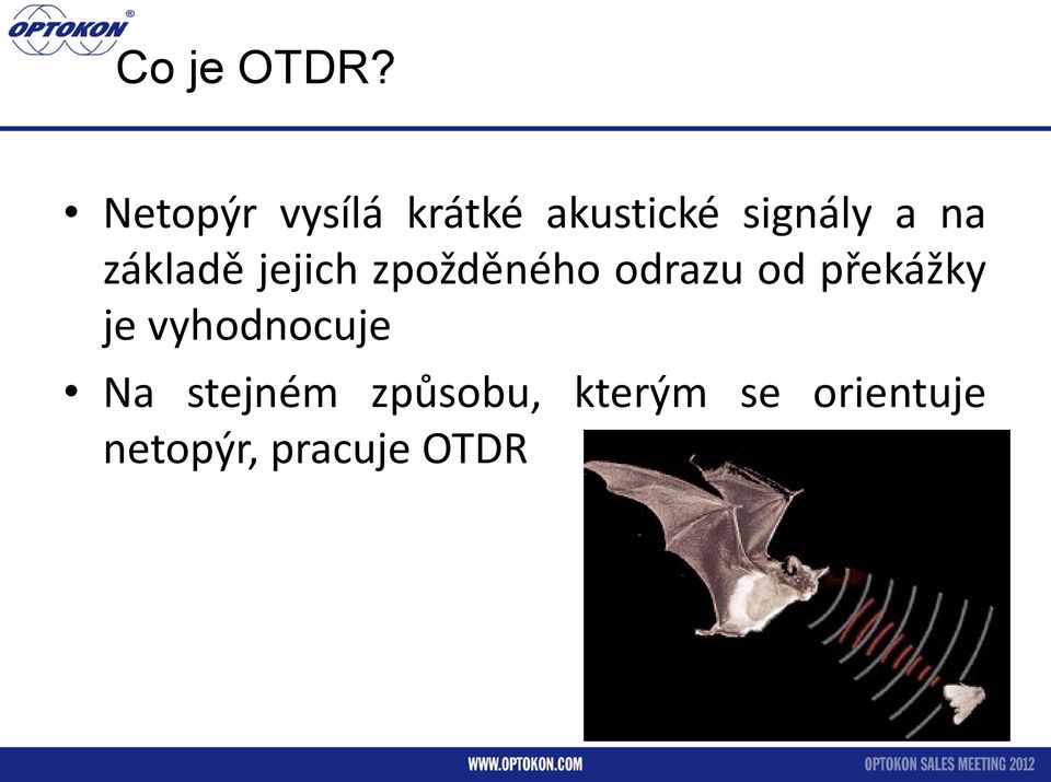 základě jejich zpožděného odrazu od překážky