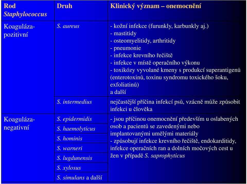 toxického šoku, exfoliatinů) a další S. intermedius nejčastější příčina infekcí psů, vzácně může způsobit infekci u člověka S. epidermidis - jsou příčinou onemocnění především u oslabených S.