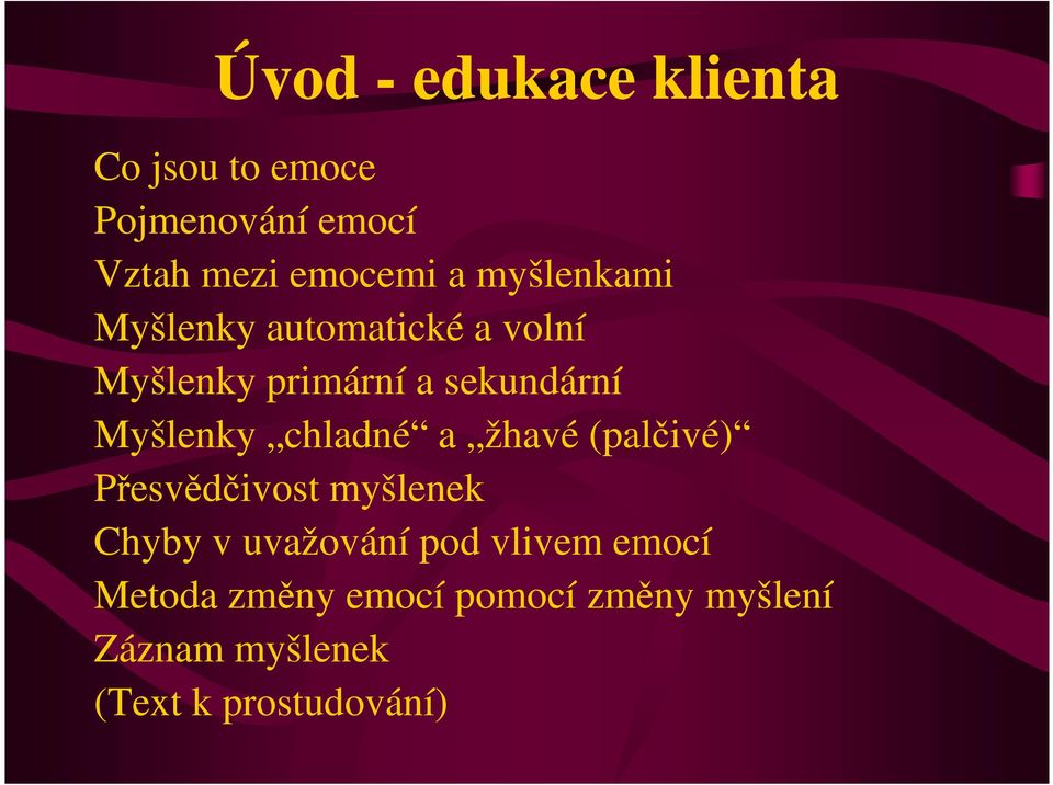 chladné a žhavé (palčivé) Přesvědčivost myšlenek Chyby v uvažování pod vlivem