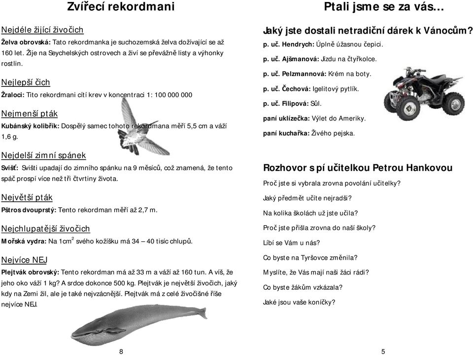 Nejdelší zimní spánek Svišť: Svišti upadají do zimního spánku na 9 měsíců, což znamená, že tento spáč prospí více než tři čtvrtiny života.