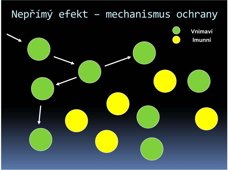 mechanismus