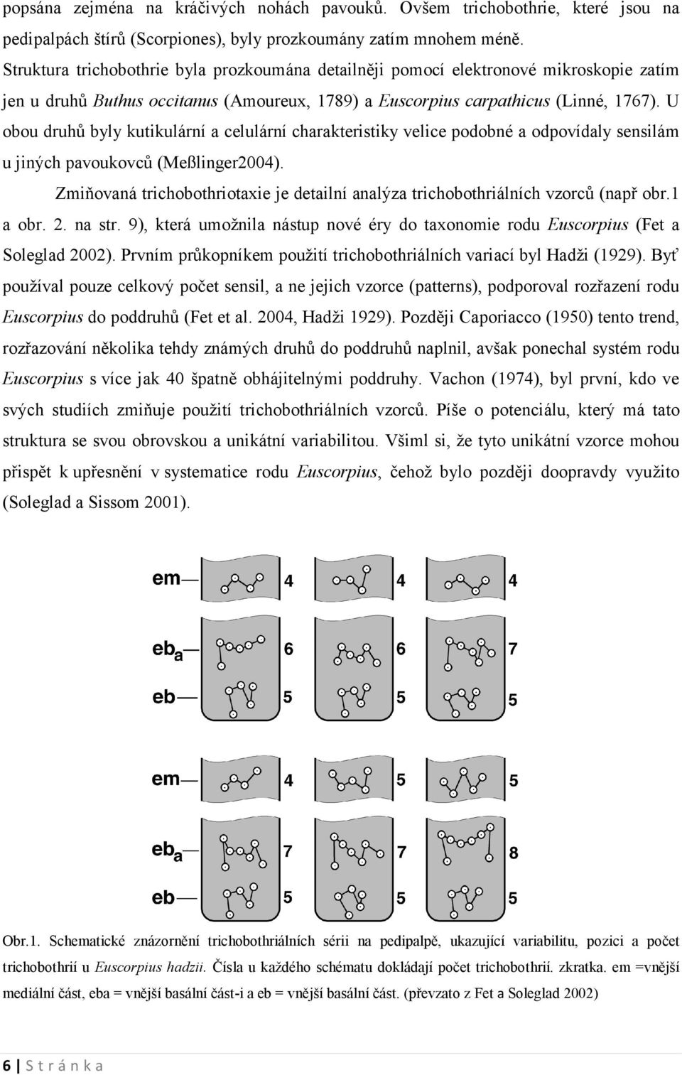 U obou druhů byly kutikulární a celulární charakteristiky velice podobné a odpovídaly sensilám u jiných pavoukovců (Meßlinger2004).