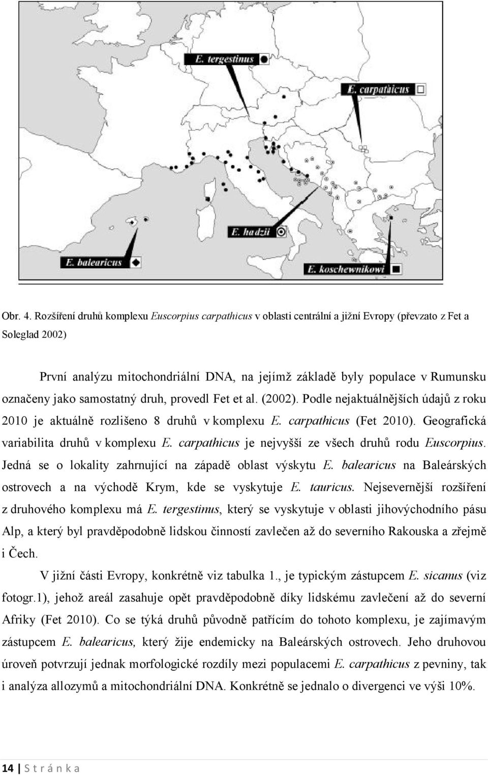 označeny jako samostatný druh, provedl Fet et al. (2002). Podle nejaktuálnějších údajů z roku 2010 je aktuálně rozlišeno 8 druhů v komplexu E. carpathicus (Fet 2010).