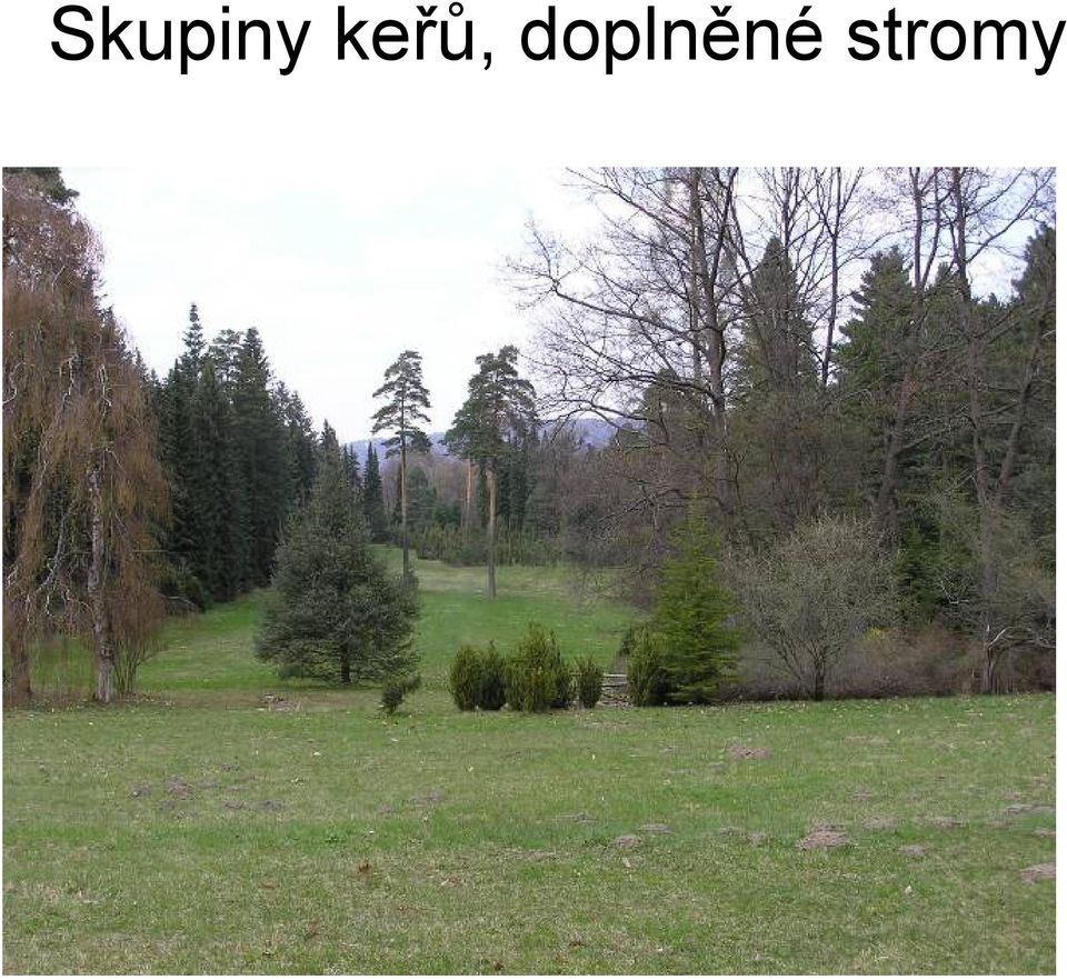 doplněné