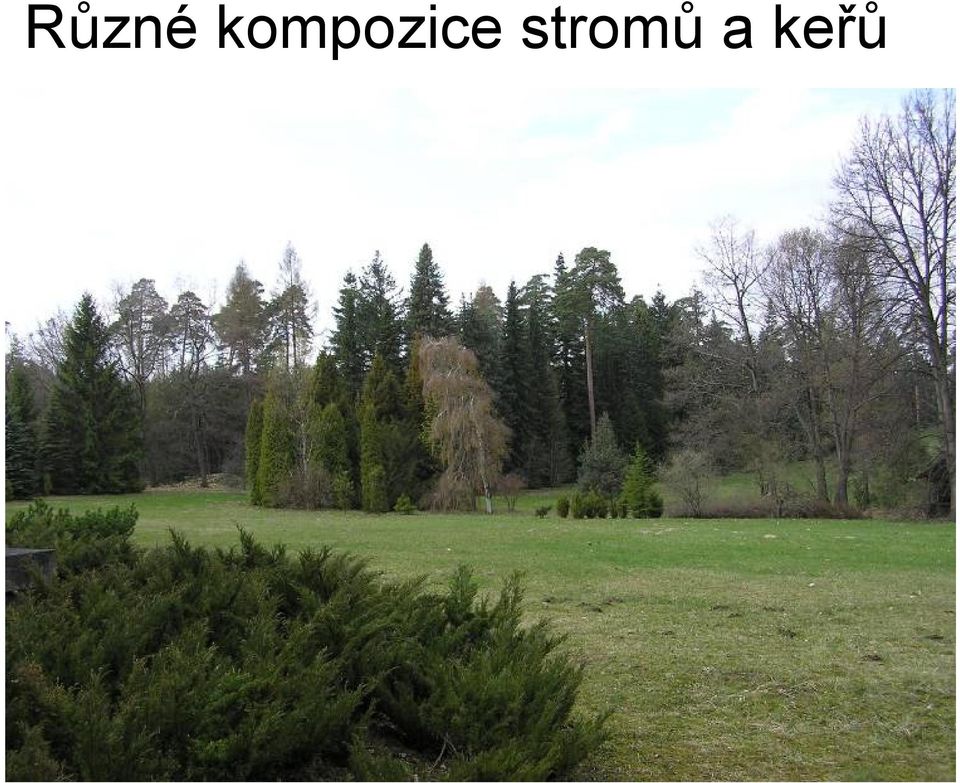 stromů a